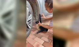 麻豆综艺,揭秘时尚界背后的明星养成记